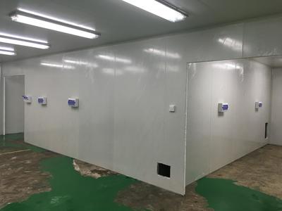 萬級凈化工程